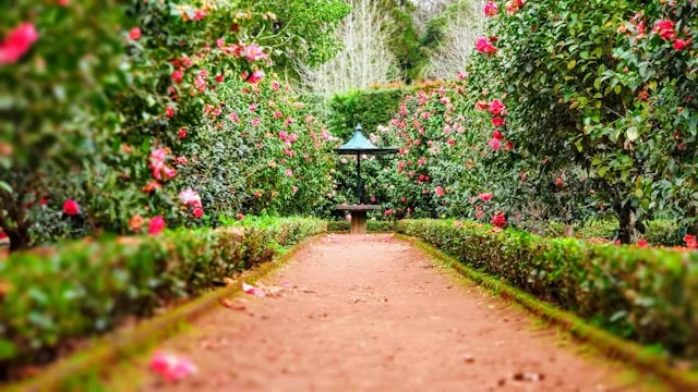 Park